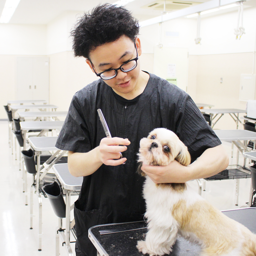 卒業生対象のトリミング個別授業♪